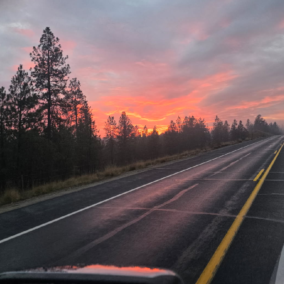 photo-of-young-stylish-woman-in-black-clothes-wit-